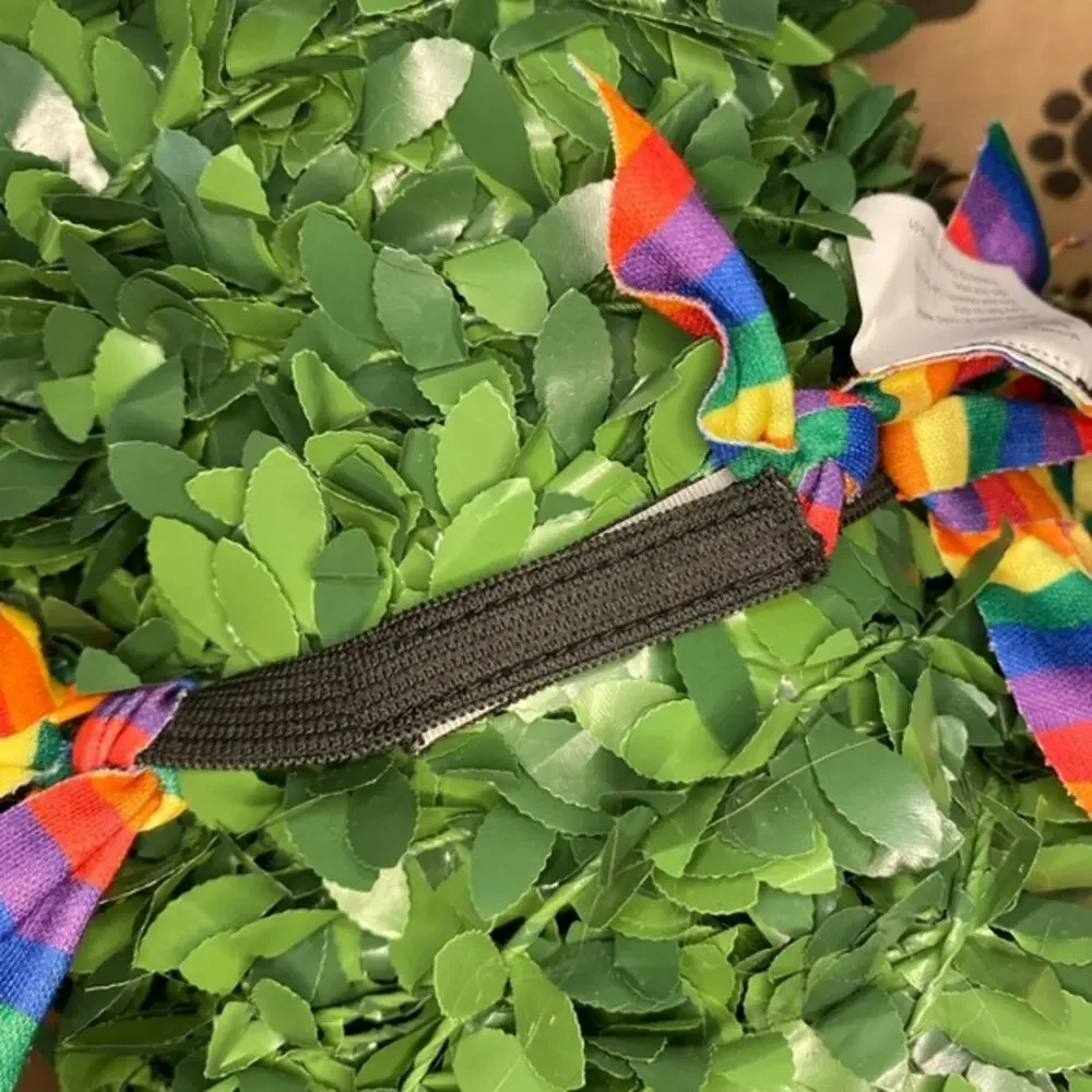 Rainbow Dog Collar Size M
